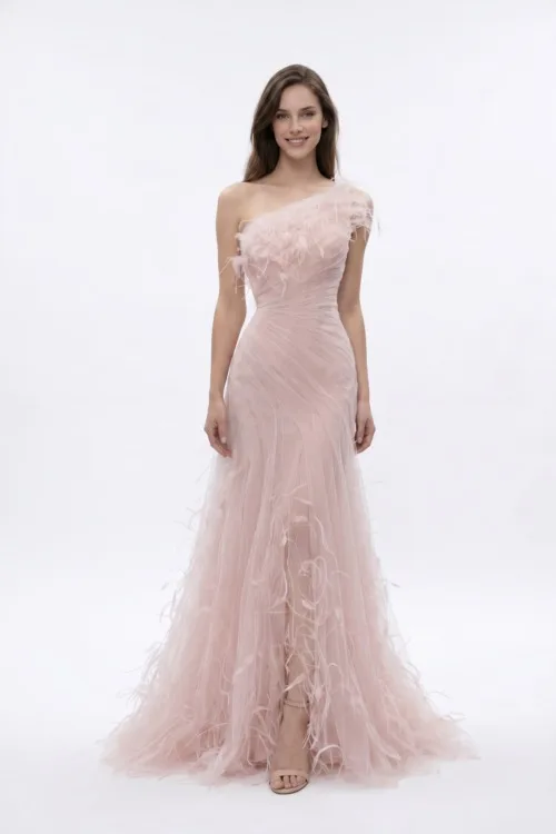 Blush Pink One-Shoulder Draped Tulle Dress with Feather Details